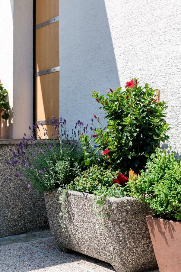 Rozna Dolina Apartment Ljubljana Kültér fotó